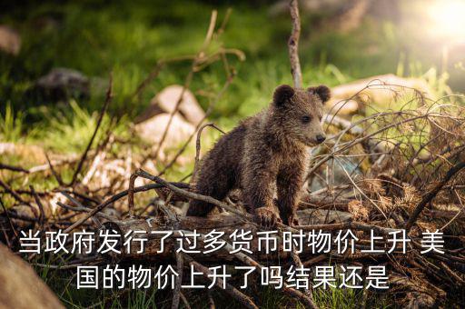 當(dāng)政府發(fā)行了過多貨幣時(shí)物價(jià)上升 美國(guó)的物價(jià)上升了嗎結(jié)果還是