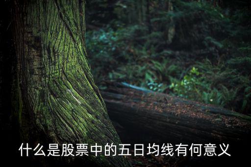 5日均線有什么用，什么是股票中的五日均線有何意義