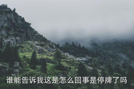 江南紅箭為什么停牌，江南紅箭為什么在軍工板塊里面沒(méi)有