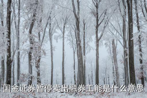 暫停融券是什么意思，國(guó)金證券暫停賣(mài)出融券工能是什么意思