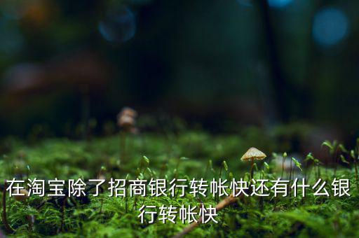 什么銀行網(wǎng)上轉(zhuǎn)賬最慢，在淘寶除了招商銀行轉(zhuǎn)帳快還有什么銀行轉(zhuǎn)帳快