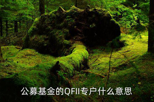 公募專戶是什么意思，什么是基金專戶