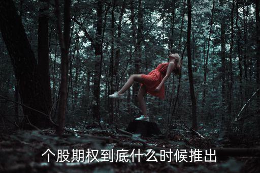 什么時(shí)候推出個(gè)股期權(quán)，股票期權(quán)什么時(shí)間開始