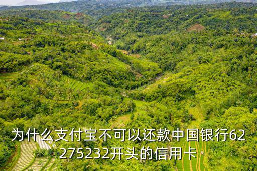 為什么支付寶不可以還款中國(guó)銀行62275232開頭的信用卡