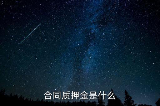質(zhì)押金是什么，期貨中的質(zhì)押金是什么意思