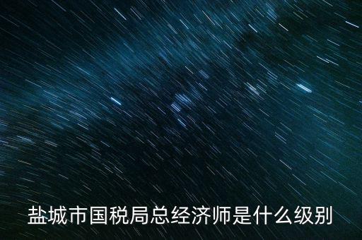 鹽城市國稅局總經濟師是什么級別