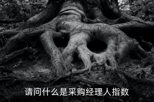 采購經(jīng)理人指數(shù)是什么，IVEY采購經(jīng)理人指數(shù)指的是什么