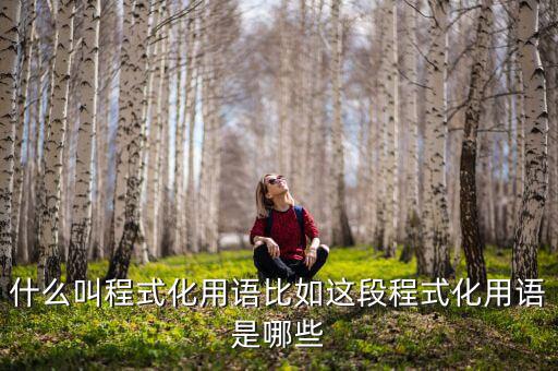 什么是程式化，幼兒園程式化活動是什么意思