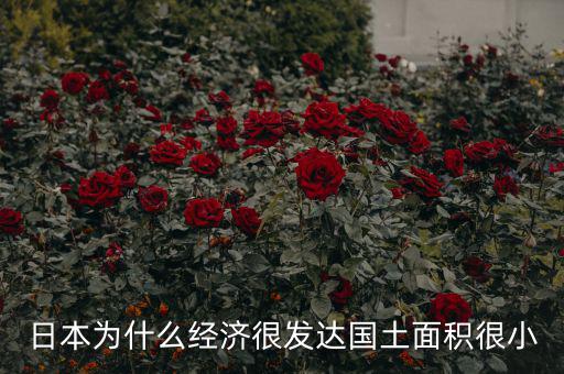 日本為什么土地小，日本為什么經(jīng)濟很發(fā)達國土面積很小