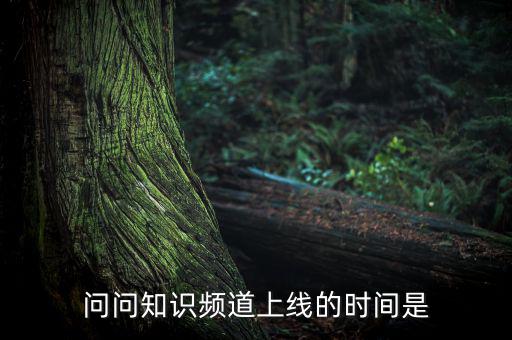 愛網(wǎng)貸平臺什么時候上線，問問知識頻道上線的時間是