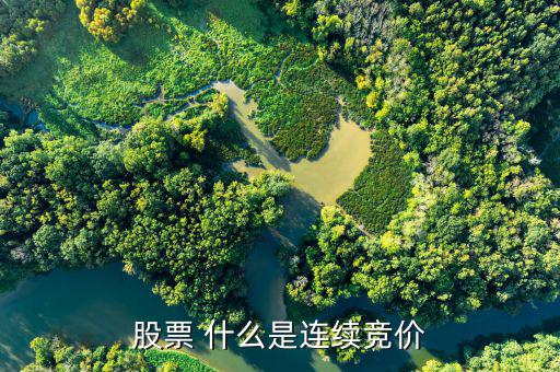 股票連續(xù)競價是什么意思，股票 什么是連續(xù)競價