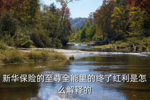 新華保險的終了紅利是什么意思，什么叫終了紅利