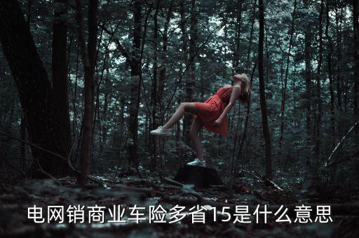 電網(wǎng)銷是什么意思，電網(wǎng)銷商業(yè)車險多省15是什么意思