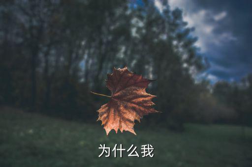 吳清友我為什么，我為什么活著寫作背景