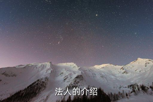 法人渠道是什么意思，法人的介紹