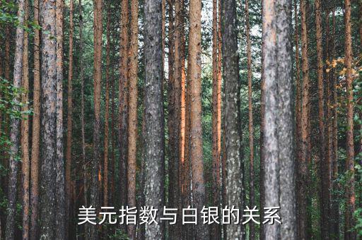 美元與白銀為什么成反比，白銀價格與美元匯率有什么關系