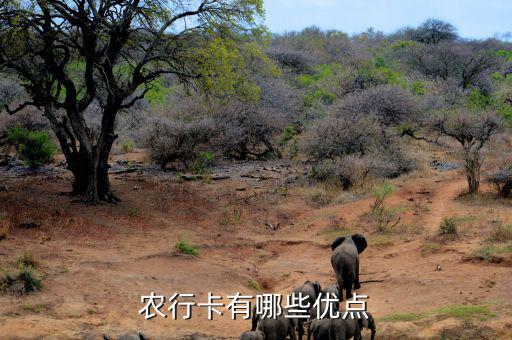 福農(nóng)卡有什么好處，農(nóng)行卡有哪些優(yōu)點(diǎn)