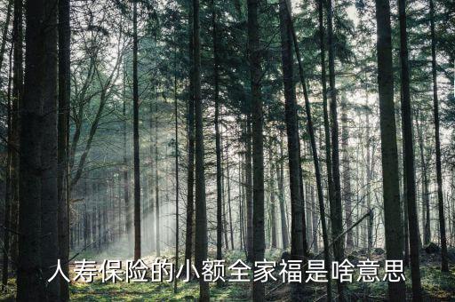 人壽全家福是什么意思，人壽保險(xiǎn)的小額全家福是啥意思