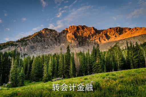 什么是外匯飽和，國(guó)外網(wǎng)友說(shuō)要轉(zhuǎn)外幣給我叫我轉(zhuǎn)給她國(guó)內(nèi)的朋友她國(guó)內(nèi)的朋友銀