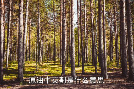 買原油第二天為什么系統(tǒng)自動(dòng)交割，原油為什么會(huì)自動(dòng)平倉(cāng)