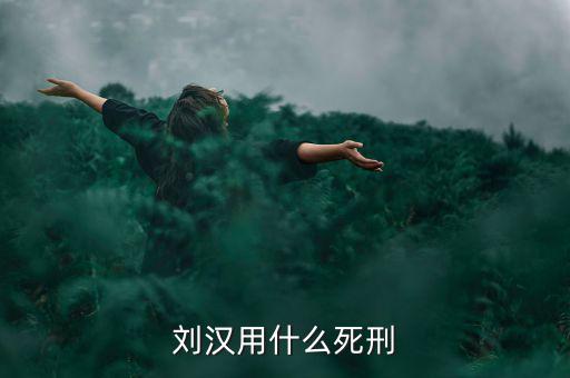 劉漢什么罪，劉漢用什么死刑