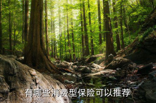 消費(fèi)險有什么，有哪些消費(fèi)型保險可以推薦