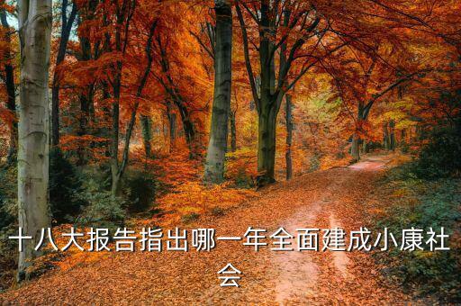 到2020年全面小康什么時(shí)候提出的，我國基本小康實(shí)現(xiàn)的時(shí)間