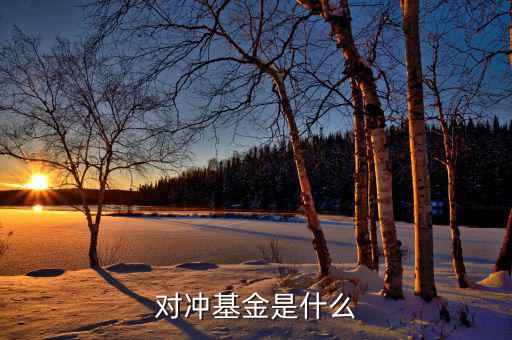 對(duì)沖基金到底是什么，對(duì)沖基金是什么