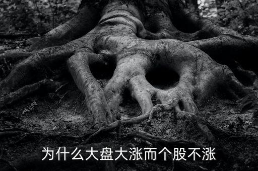 板塊都漲我的個(gè)股不長什么原因，為什么大盤大漲而個(gè)股不漲