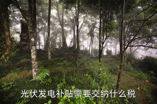 光伏的補貼免什么稅，光伏發(fā)電補貼需要交納什么稅