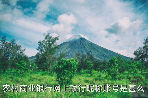 吳江農(nóng)村商業(yè)銀行用戶名是什么，銀行用戶名是什么