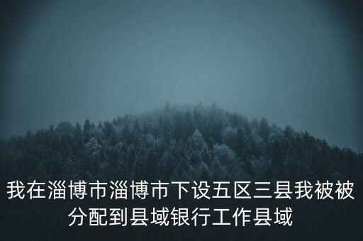 我在淄博市淄博市下設五區(qū)三縣我被被分配到縣域銀行工作縣域
