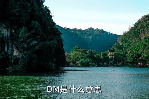 什么是dm理財，DM在國際金融里面是什么意思