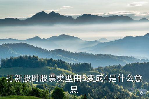 股票類型4是什么意思，打新股時股票類型由5變成4是什么意思