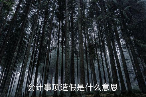 會計(jì)事項(xiàng)造假是什么意思