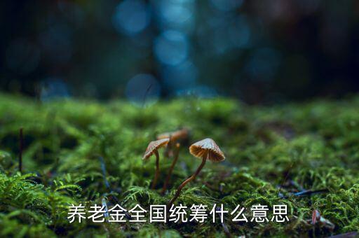 養(yǎng)老金統(tǒng)籌是什么意思，養(yǎng)老金全國(guó)統(tǒng)籌什么意思
