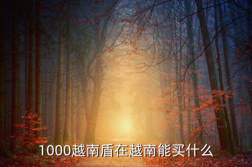 1越南盾能買什么，1盾越南幣能買什么