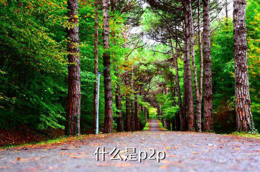 p2p平臺什么意思，什么是P2P