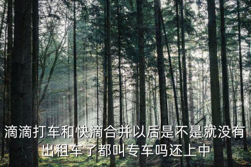 滴滴快滴合并叫什么，滴滴快的合并后叫什么