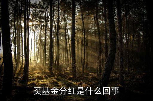 基金為什么分紅，買基金分紅是什么回事