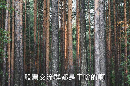 股吧里加群是什么，東方財富網(wǎng)股吧 里說的 群怎么加