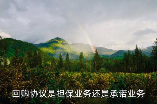 資產(chǎn)回購協(xié)議屬什么合同，股權(quán)轉(zhuǎn)讓及回購協(xié)議屬于借款合同嗎