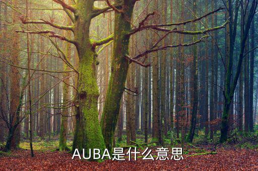 華夏現(xiàn)金增利貨幣a是什么，AUBA是什么意思