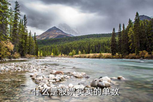 什么是股票買(mǎi)賣(mài)的單數(shù)