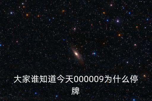 華潤(rùn)雙鶴為什么停牌，002407為何停牌