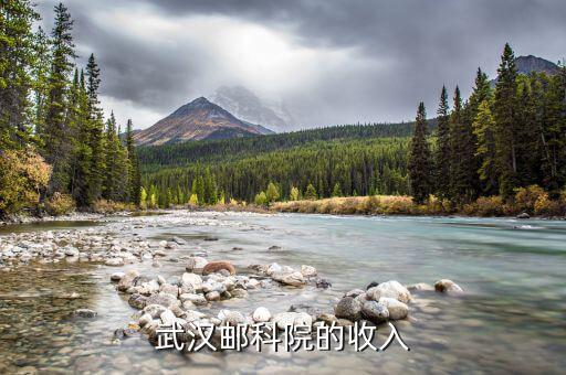 武漢郵科院是做什么的，有武漢郵科院的資料么