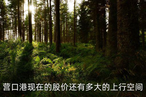 營(yíng)口港為什么漲停，營(yíng)口港股票怎么了