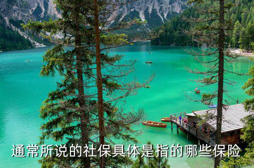 社保包括什么保險(xiǎn)，社保具體是指的哪些保險(xiǎn)
