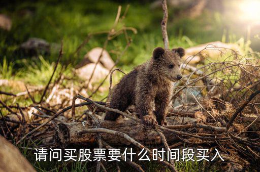 什么時(shí)候買入股票，請(qǐng)問買股票要什么時(shí)間段買入