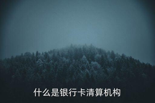 同一卡組織清算機(jī)構(gòu)指什么，銀行卡清算機(jī)構(gòu)銀行支付機(jī)構(gòu)到底有什么區(qū)